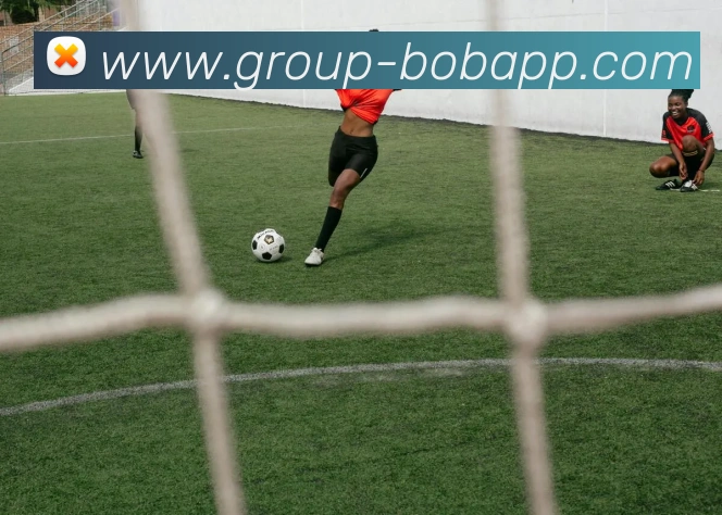 BOB体育平台生态图