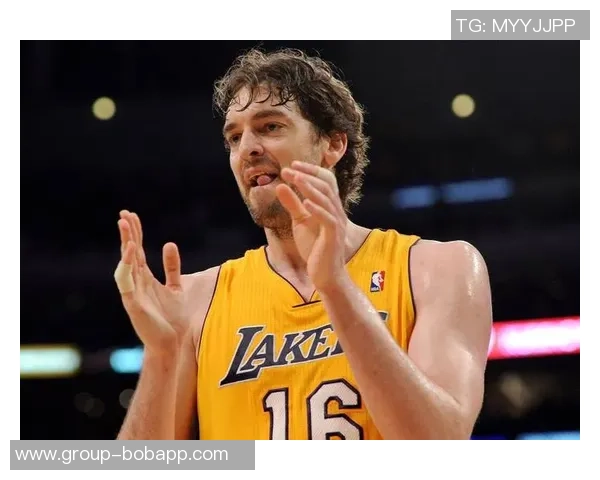 富保罗直言热火三巨头不成立波什未达特权级别引发热议